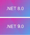 .NET 8 / 9 Icon