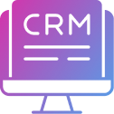 Custom CRM Systems
