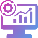 Custom ERP Solutions