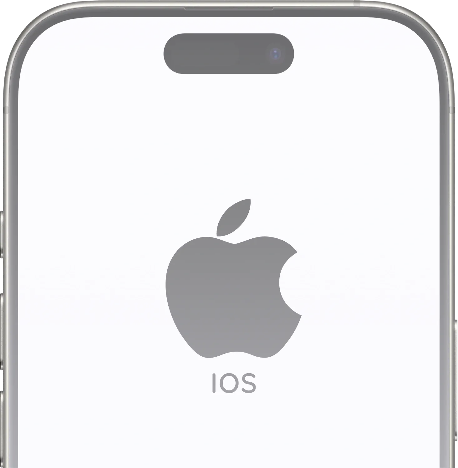 Native iPad application development