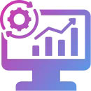 Custom ERP Solutions