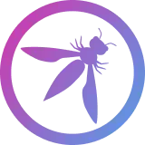 OWASP API Security Standard