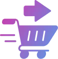 Custom Checkout Fields